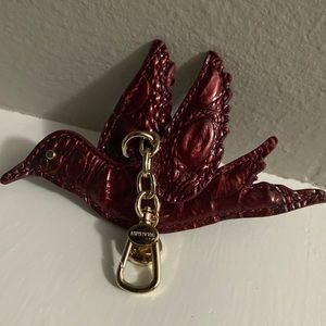 ⚜️BRAHMIN NIGHTINGALE